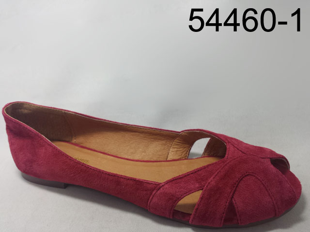 54460-1 RED
